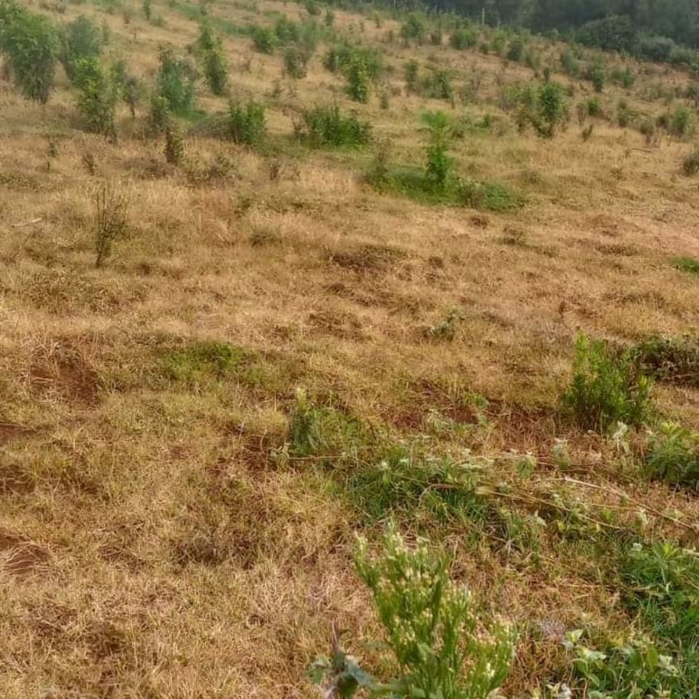 Land for sale in Keiyo South