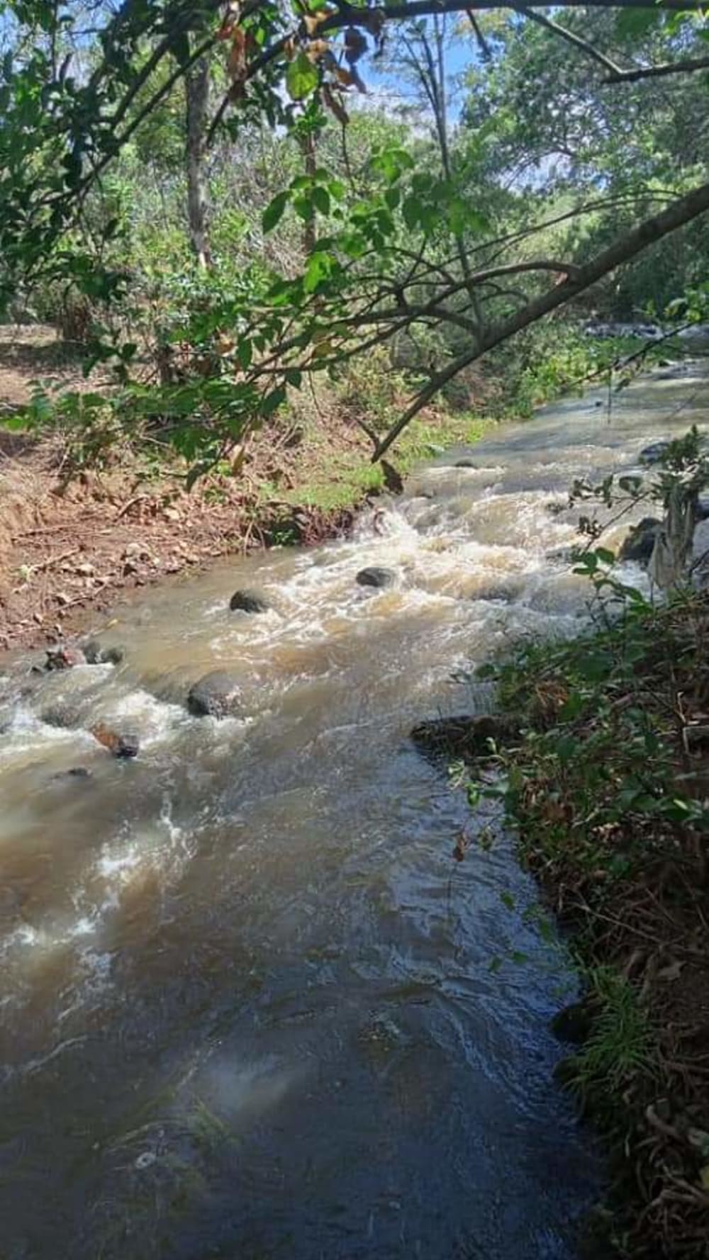 Land for sale in Nanyuki