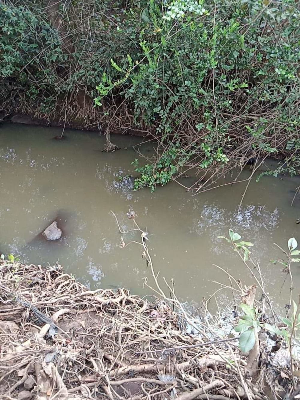 Land for sale in Nanyuki