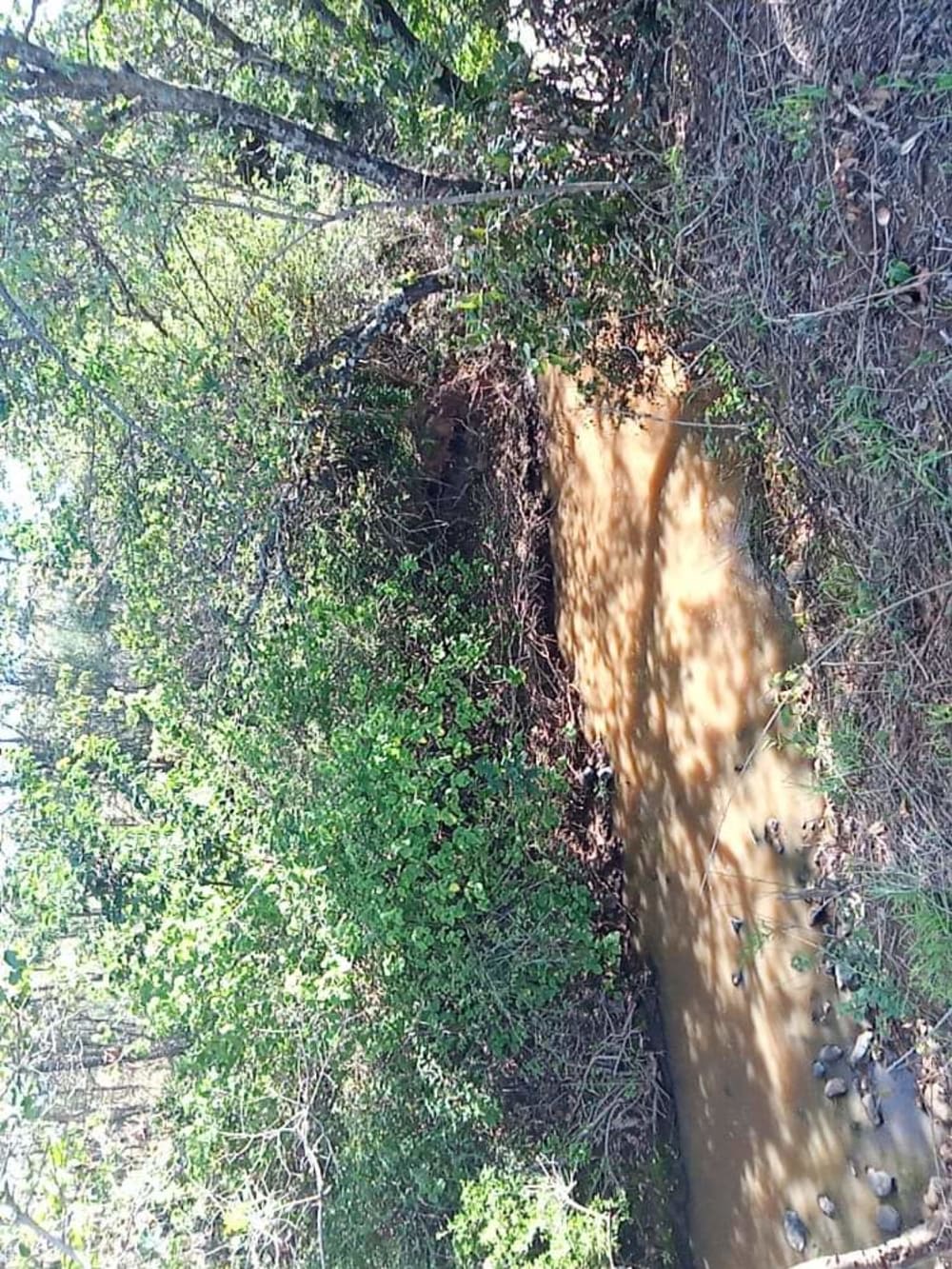 Land for sale in Nanyuki