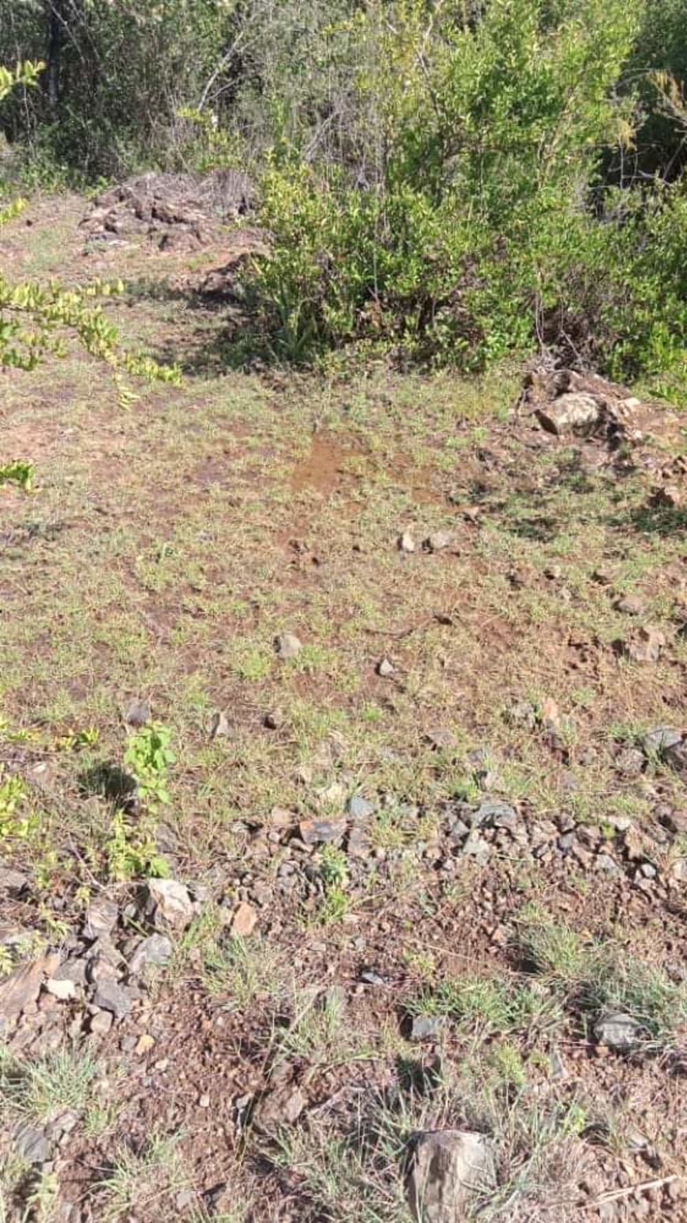 Land for sale in Nanyuki