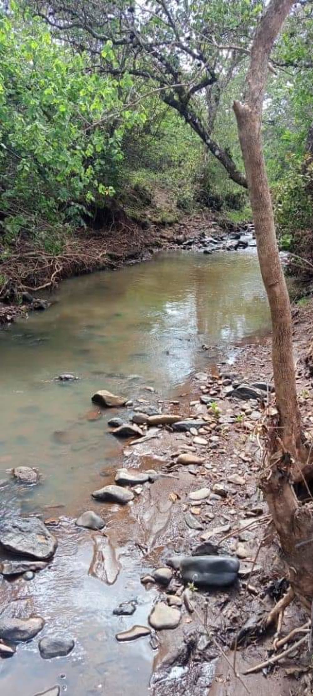 Land for sale in Nanyuki