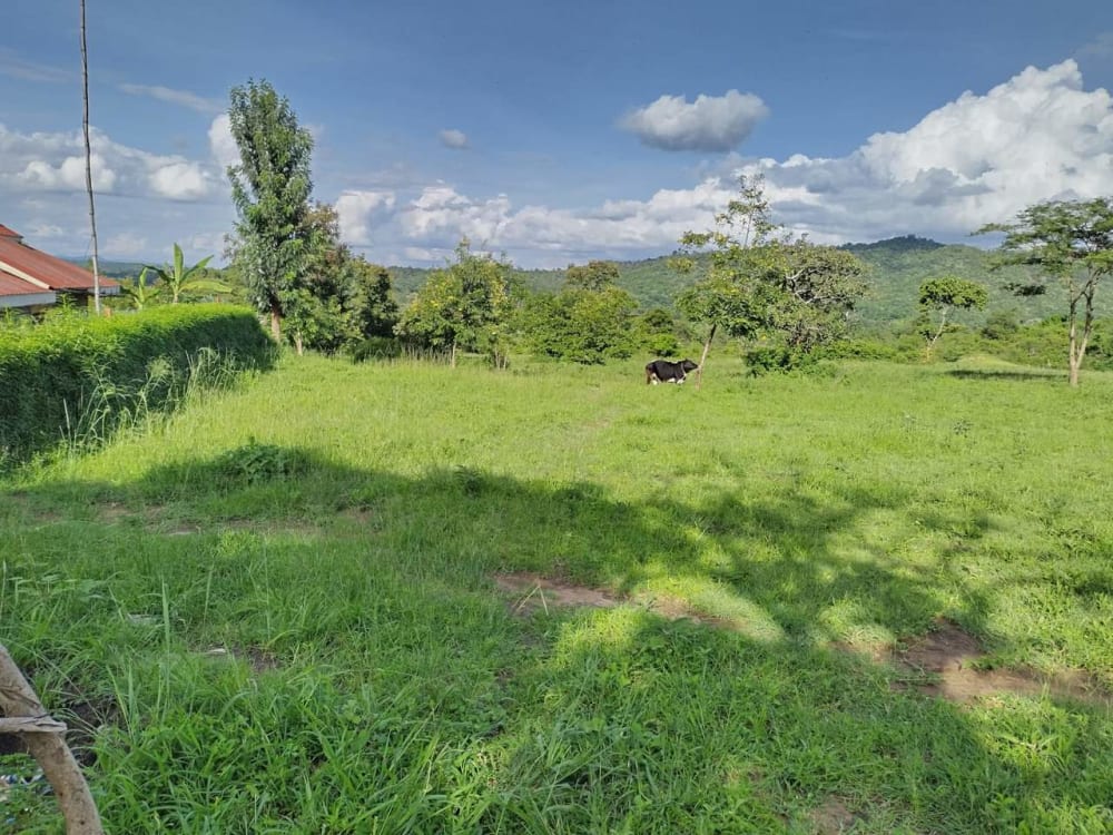 Land for sale in Murang'a 