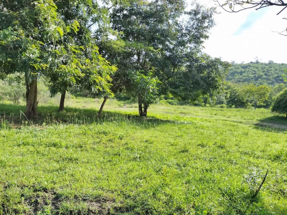 Land for sale in Murang'a 