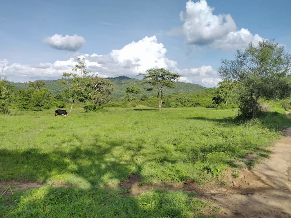 Land for sale in Murang'a 