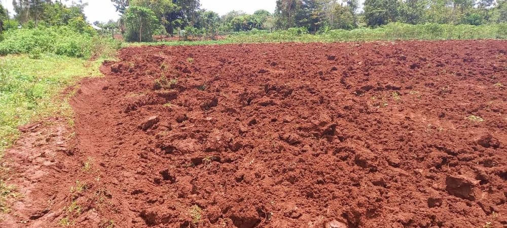 Land for sale in Ogwato, Siaya