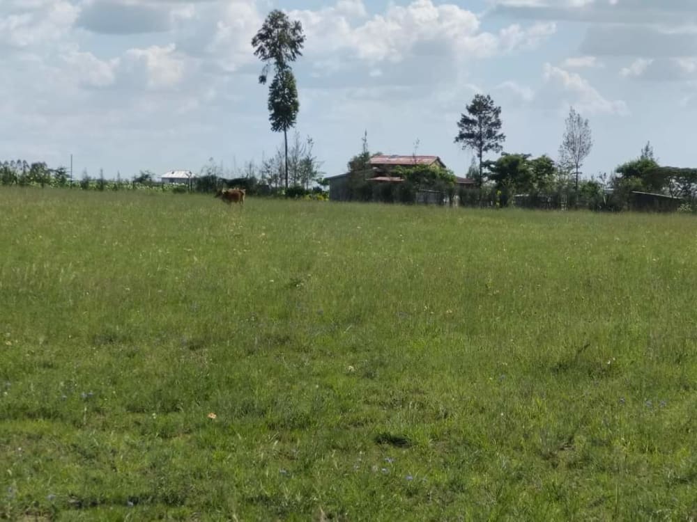 Land for sale in Joska