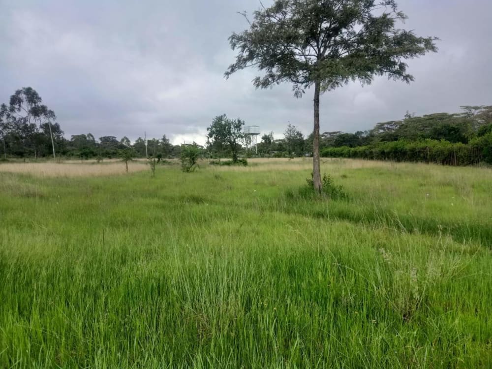 Land for sale in Karen