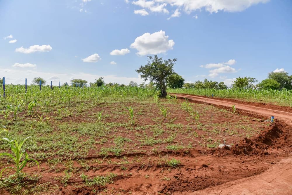 Land for sale in Makutano 