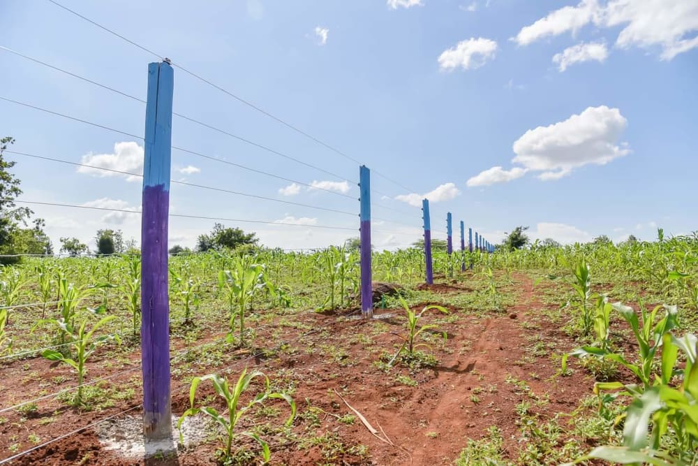 Land for sale in Makutano 