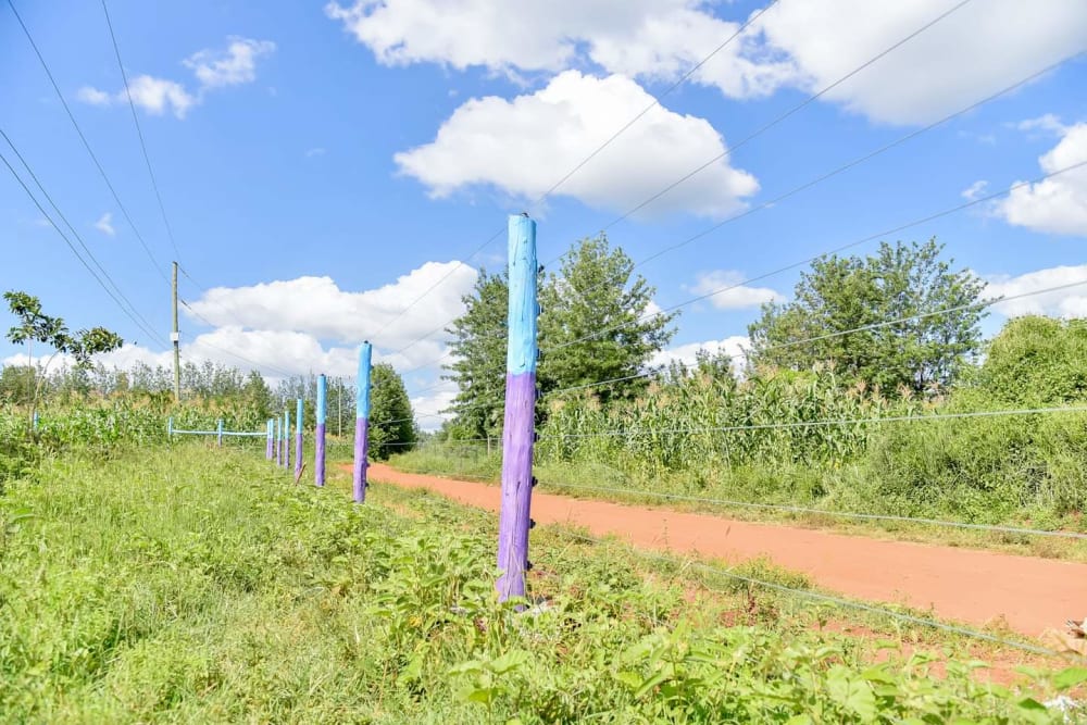 Land for sale in Makutano 