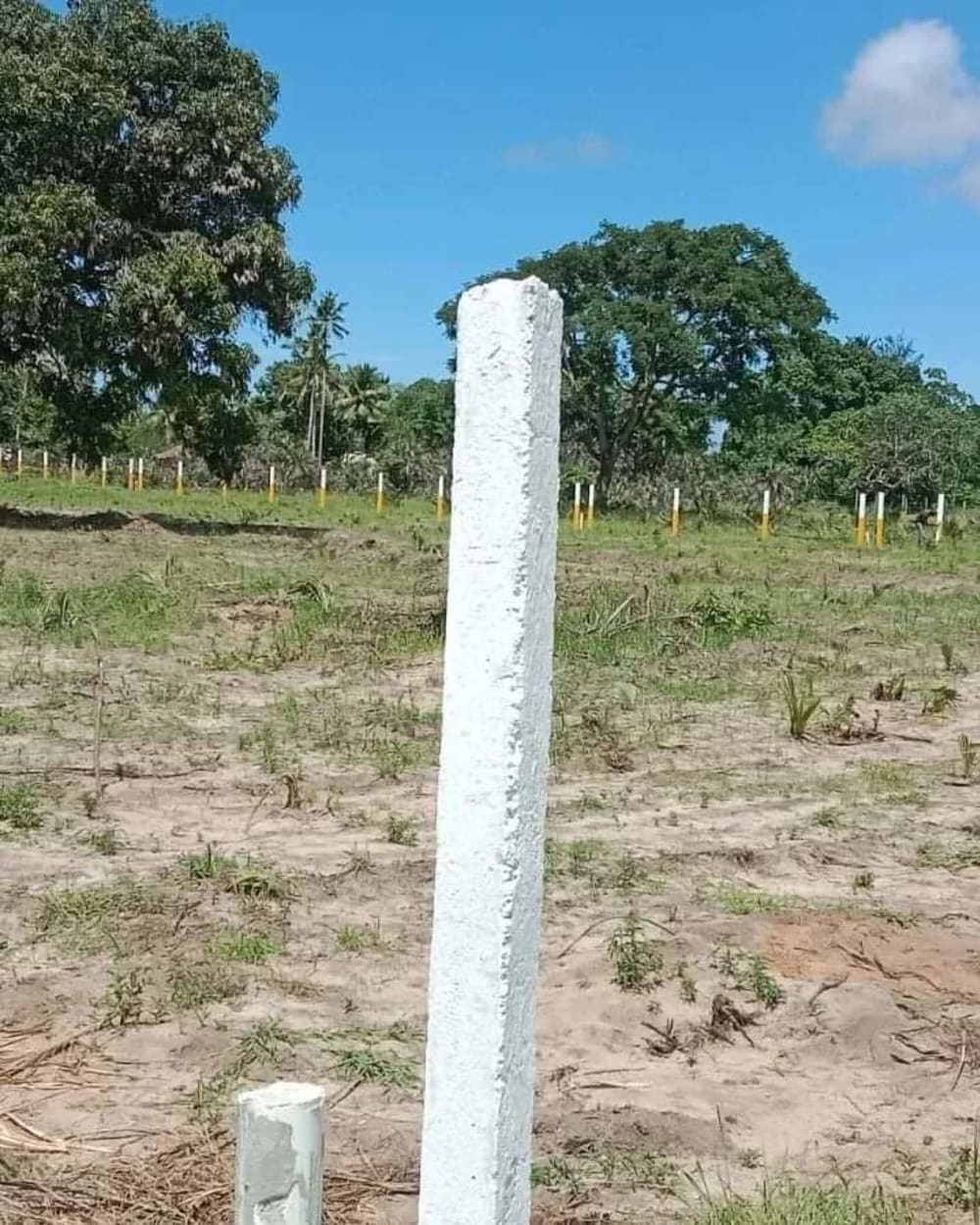 Land for sale in Diani