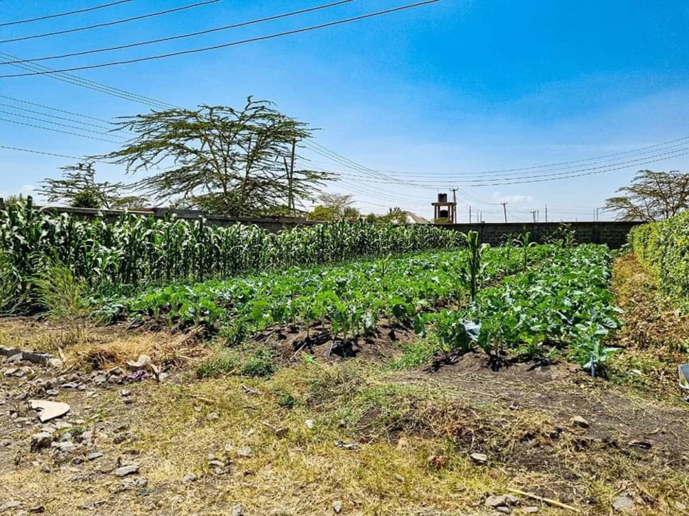 Land for sale in Kitengela
