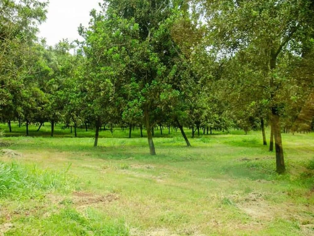 Land for sale in Thika