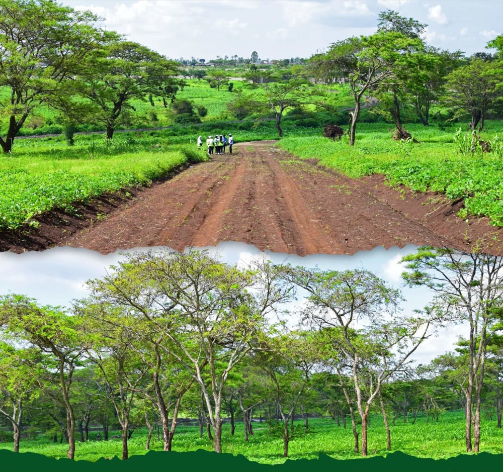 Land for sale in Kabati