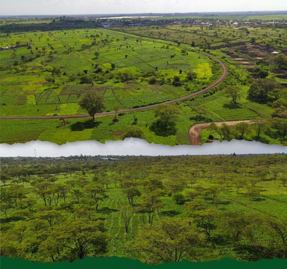 Land for sale in Kabati