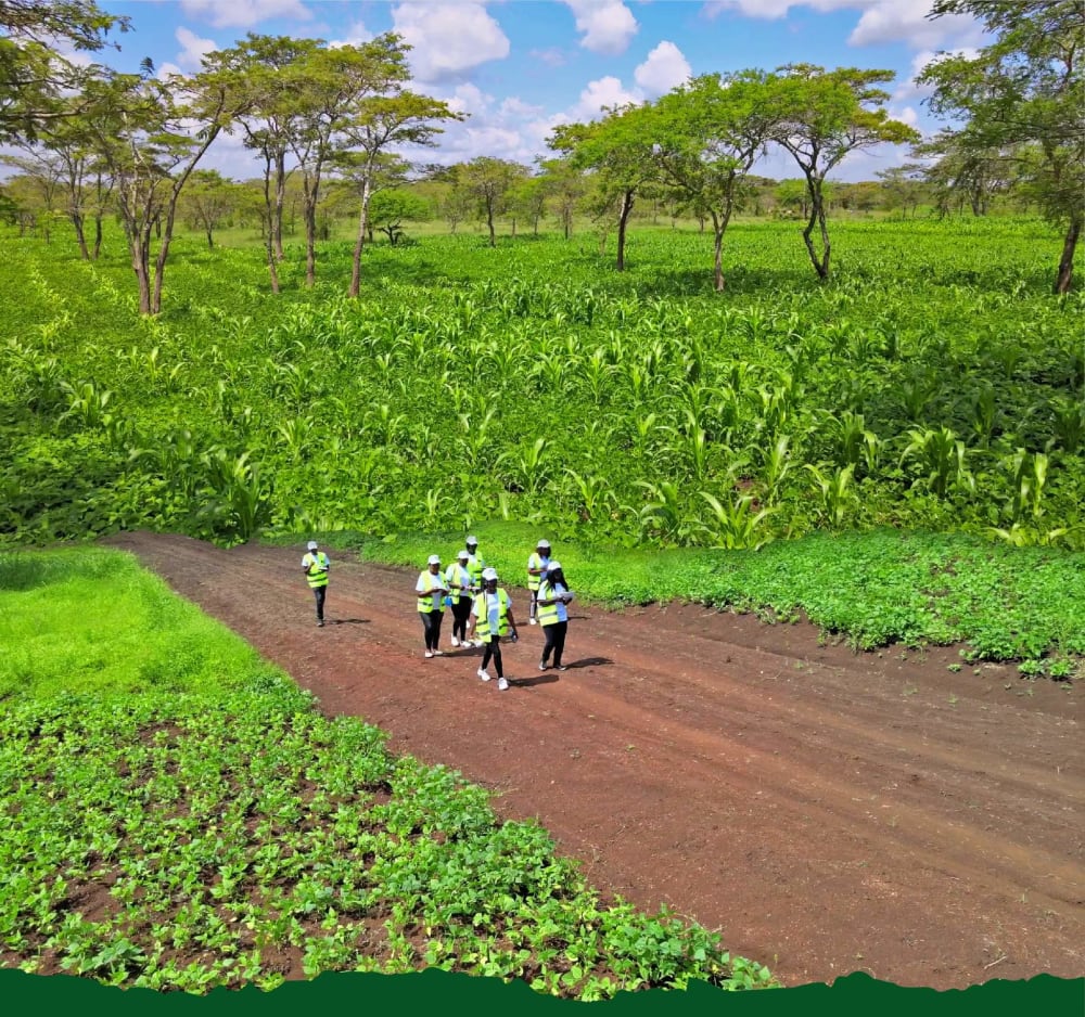 Land for sale in Kabati