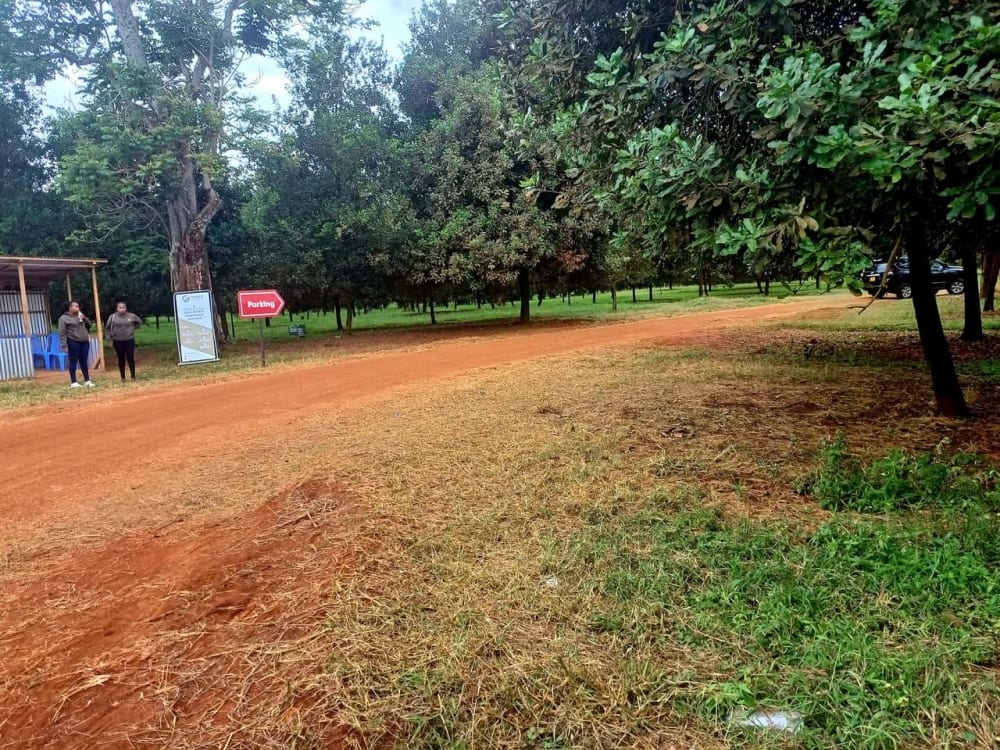 Land for sale in Thika