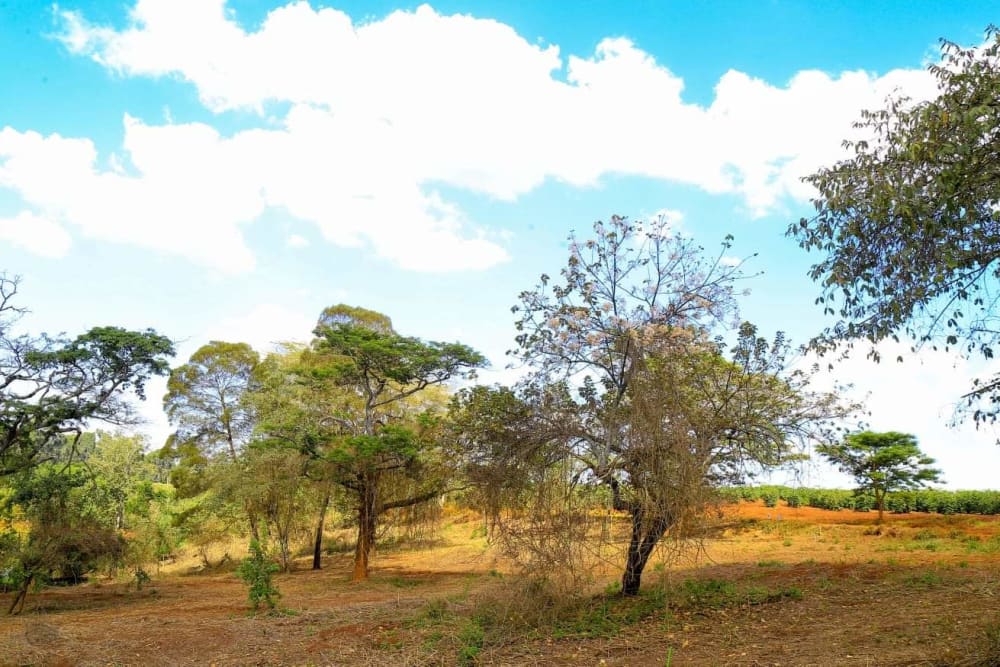 Land for sale in Ruiru