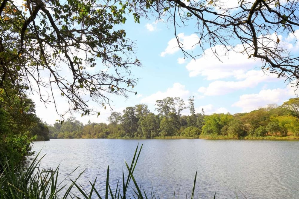 Land for sale in Ruiru