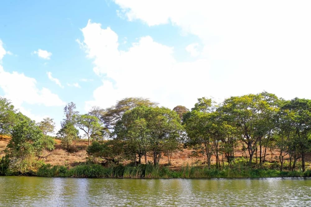 Land for sale in Ruiru