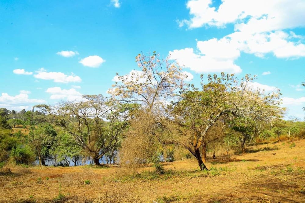 Land for sale in Ruiru