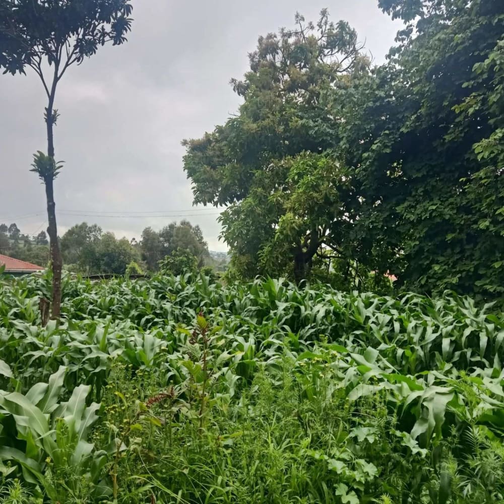 Land for sale in Kikuyu 