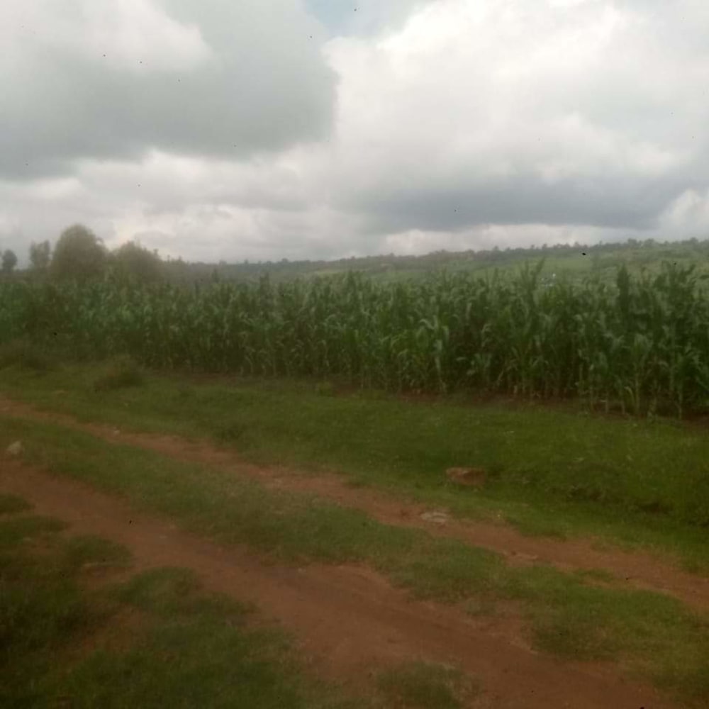 Land for sale in Lorien farm, Uasin Gishu 