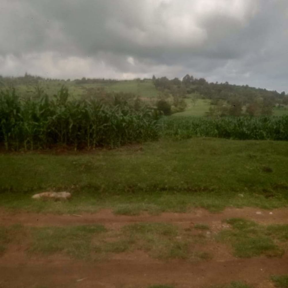 Land for sale in Lorien farm, Uasin Gishu 