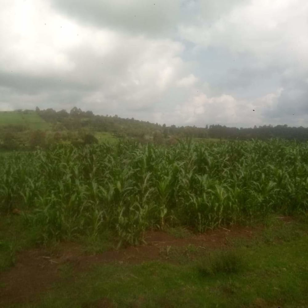 Land for sale in Lorien farm, Uasin Gishu 