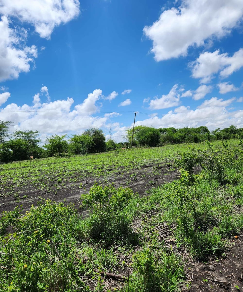 Land for sale in Matuu