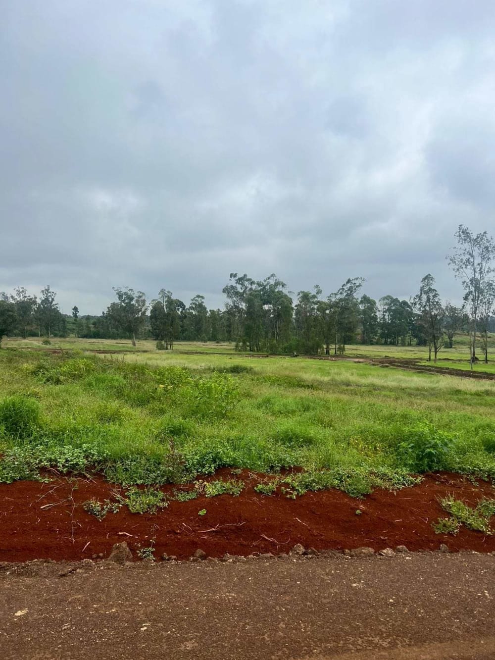 Land for sale in Ruiru