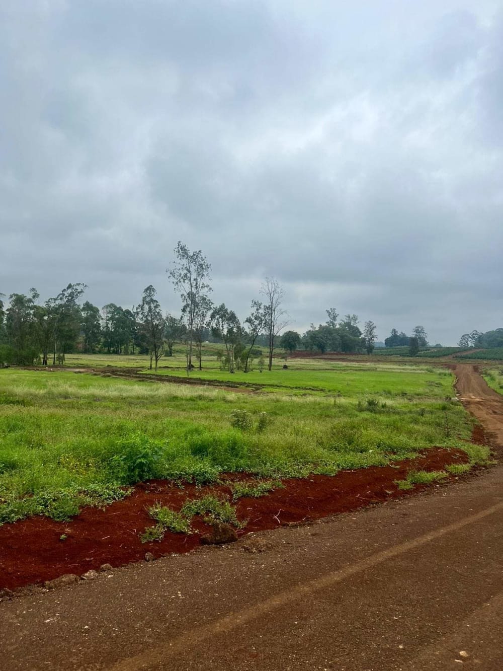 Land for sale in Ruiru