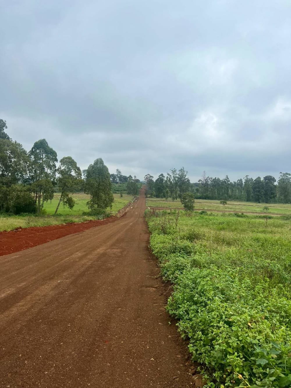 Land for sale in Ruiru