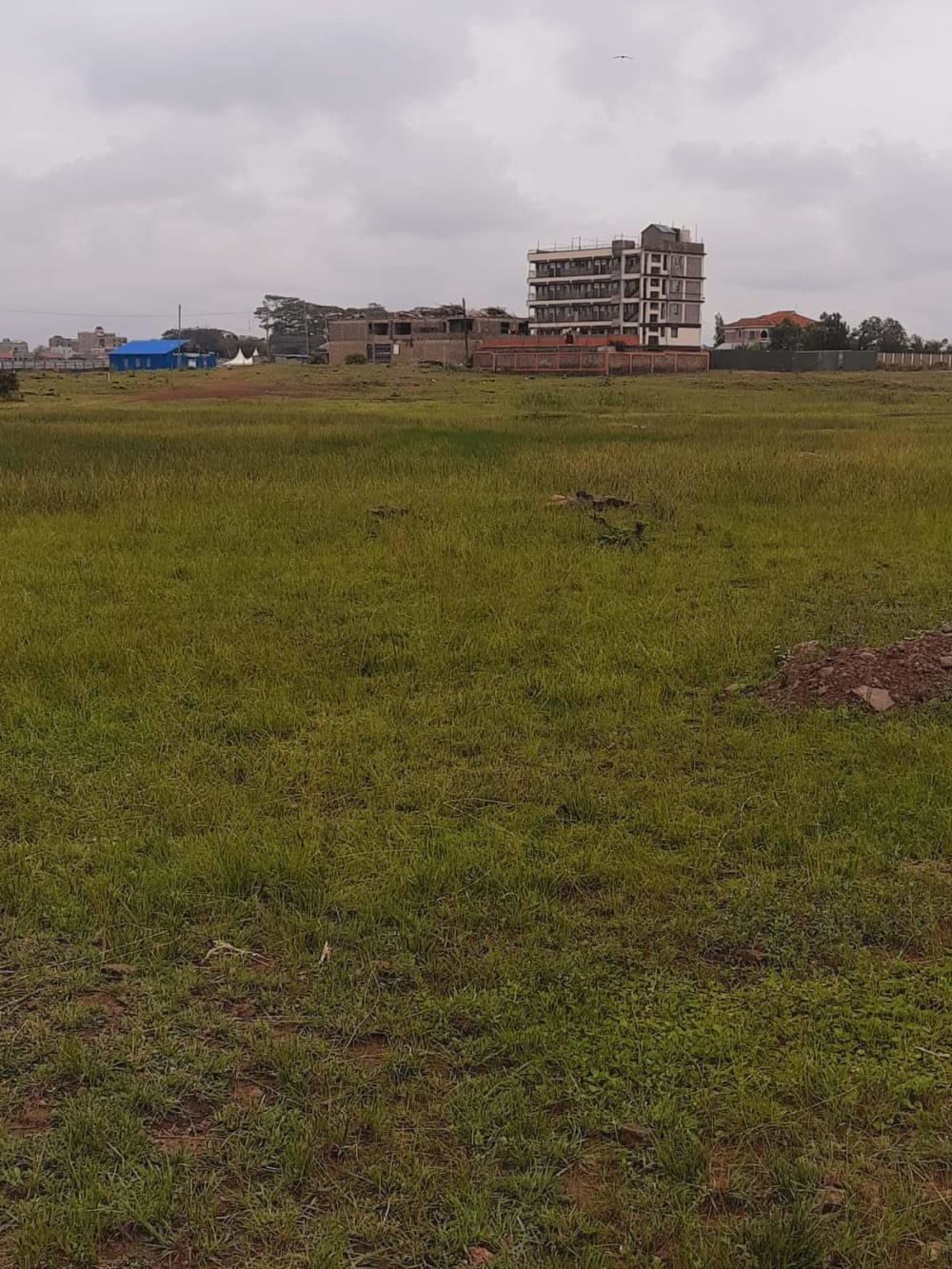 Land for sale in Ruiru