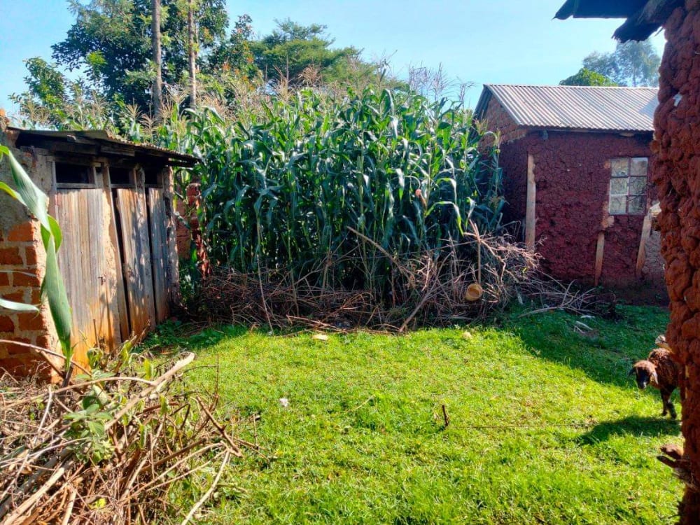 Land for sale in Kimilili 