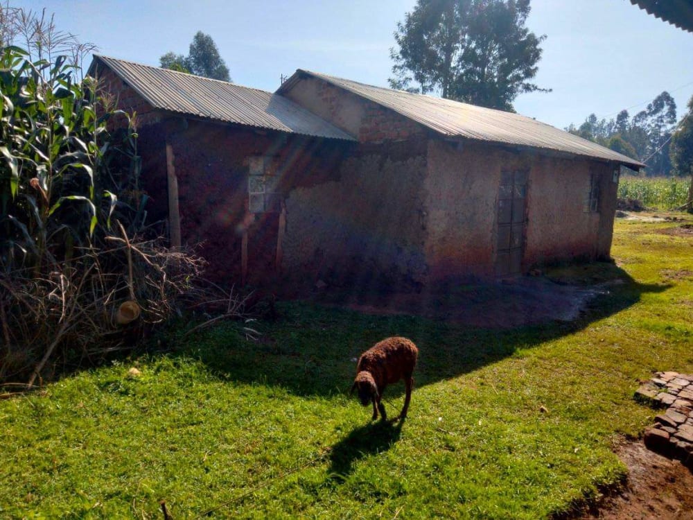 Land for sale in Kimilili 