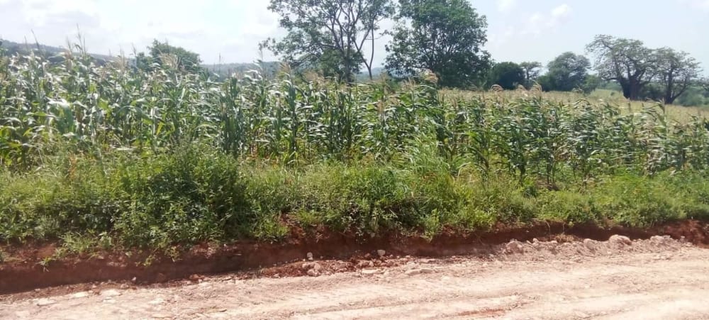 Land for sale in Kilifi 