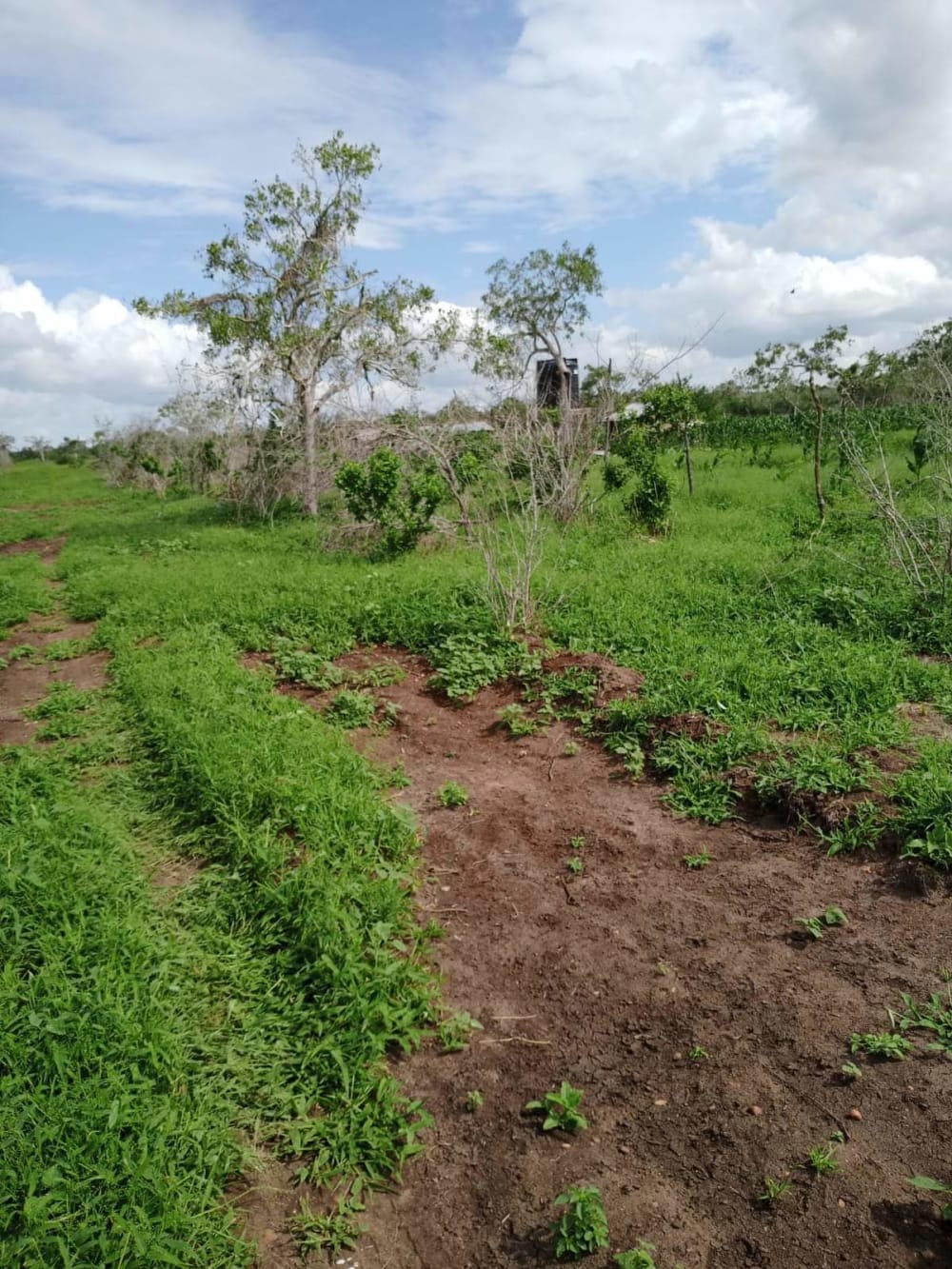 Land for sale in Malindi