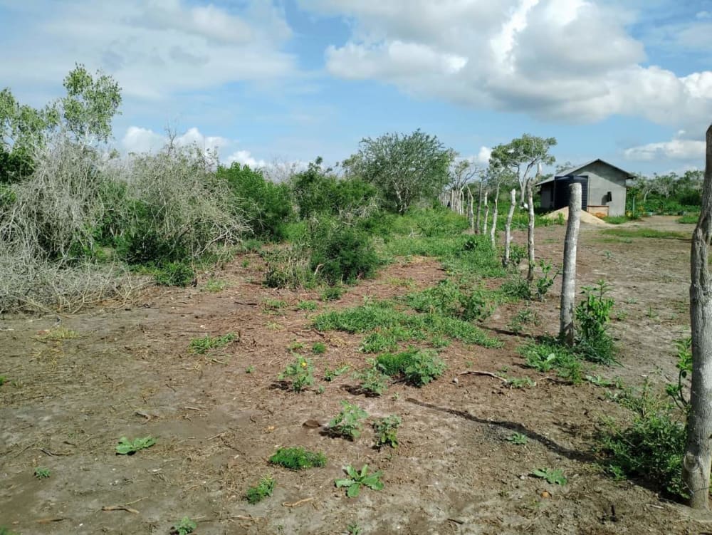 Land for sale in Malindi