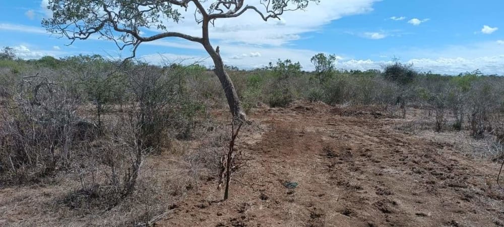 Land for sale in Malindi