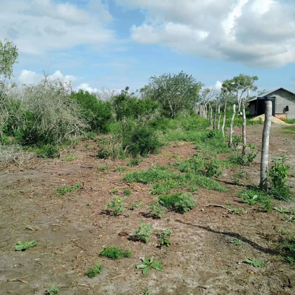 Land for sale in Malindi