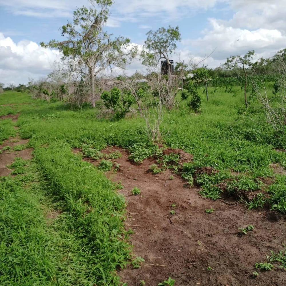 Land for sale in Malindi