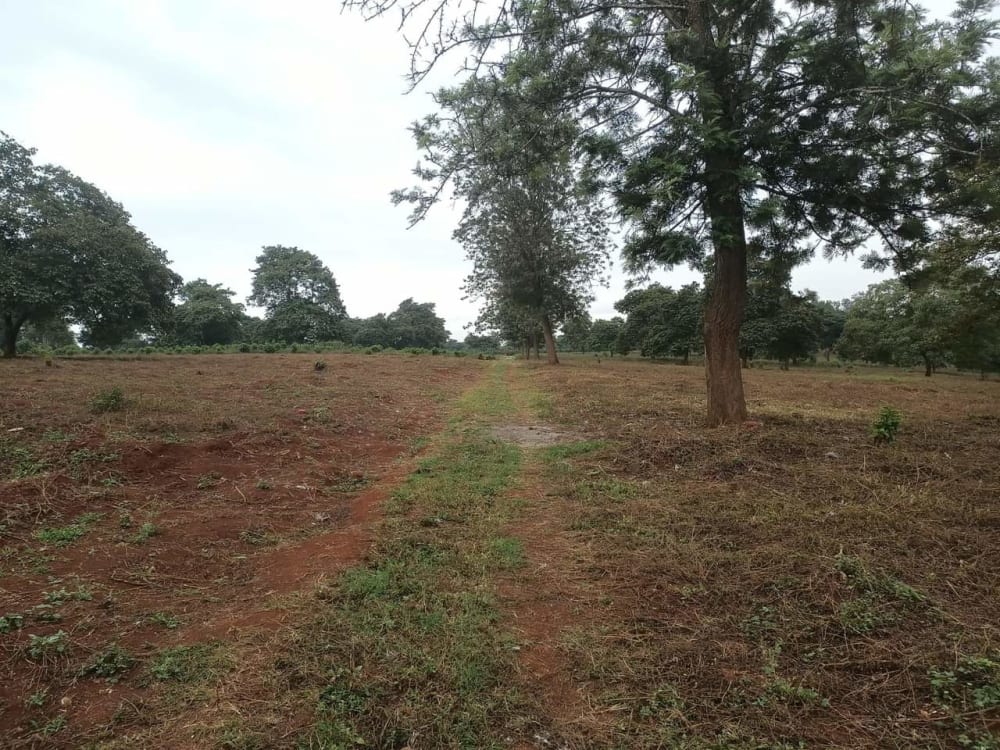 Land for sale in Kiambu