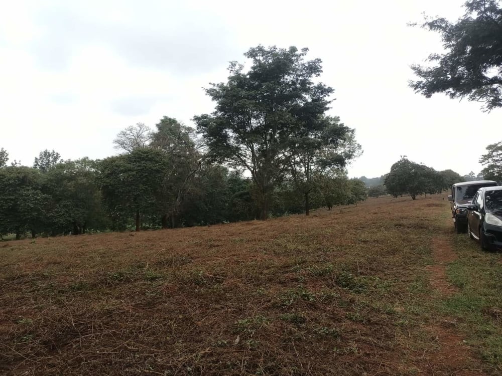 Land for sale in Kiambu