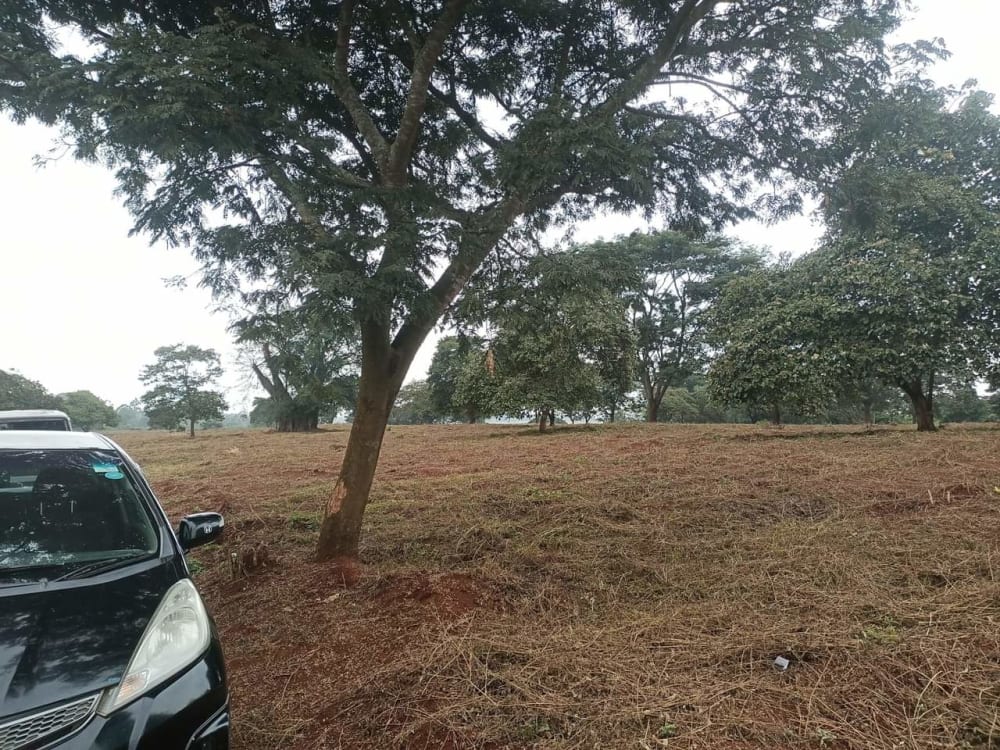 Land for sale in Kiambu