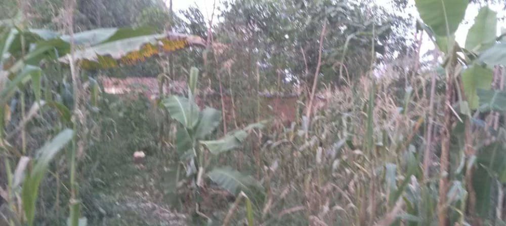 Land for sale in Mabanga 