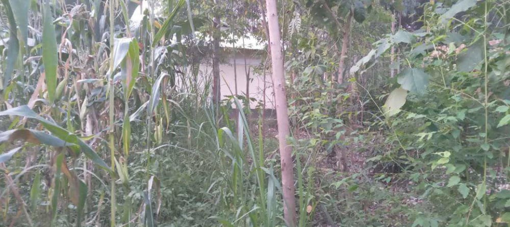 Land for sale in Mabanga 