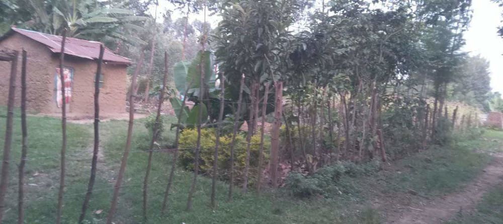 Land for sale in Mabanga 