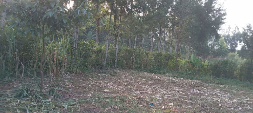 Land for sale in Mabanga 